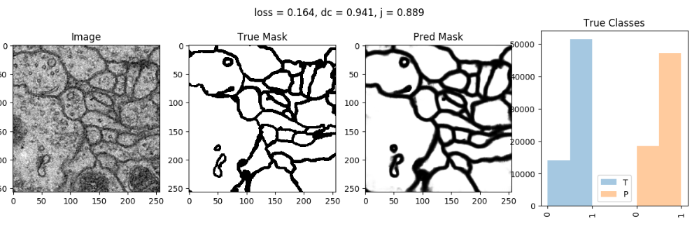 Electron microscopy example image